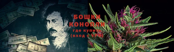 шишки Гусиноозёрск