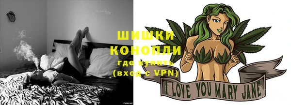 шишки Гусиноозёрск