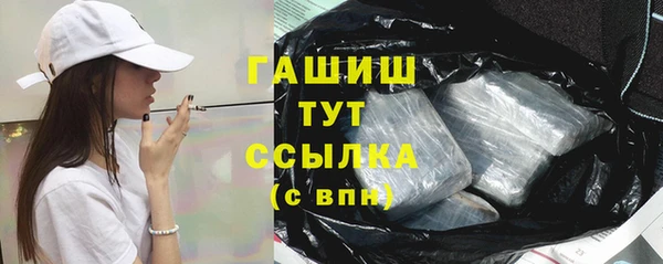 шишки Гусиноозёрск