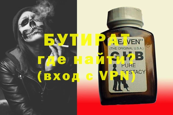 шишки Гусиноозёрск