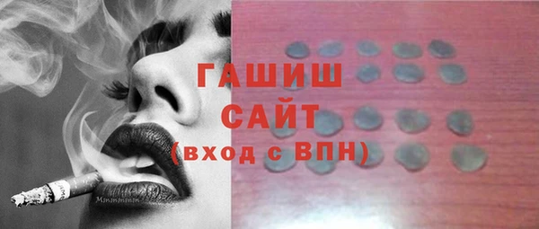 шишки Гусиноозёрск