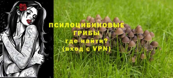 скорость Гусев