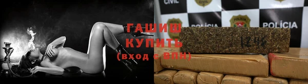 шишки Гусиноозёрск