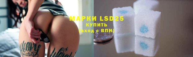 шишки Гусиноозёрск
