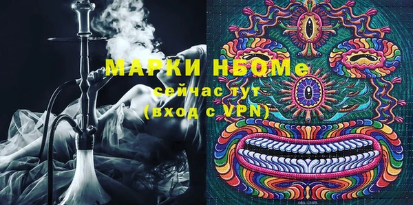 шишки Гусиноозёрск