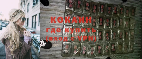 шишки Гусиноозёрск