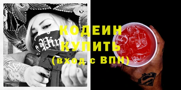 шишки Гусиноозёрск