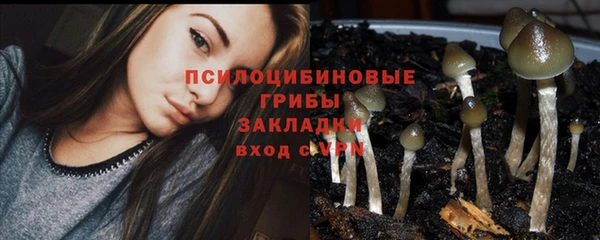 spice Дмитровск