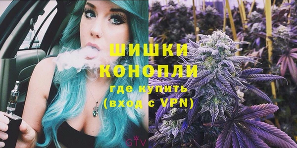 шишки Гусиноозёрск