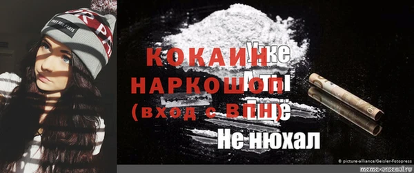 шишки Гусиноозёрск