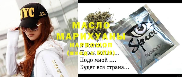 шишки Гусиноозёрск