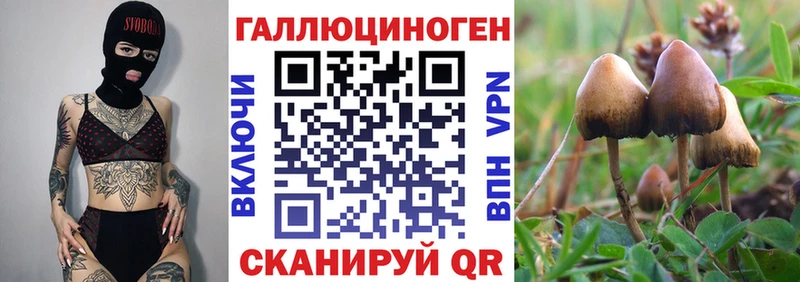 Псилоцибиновые грибы Psilocybine cubensis  Купить закладки  Перевоз 